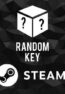 steam random key